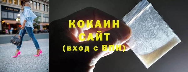 индика Саяногорск