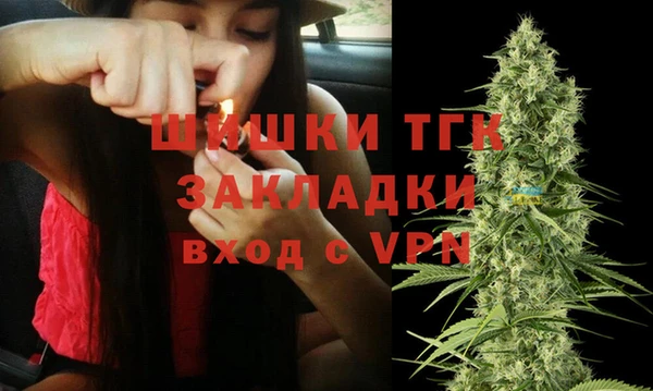 индика Саяногорск