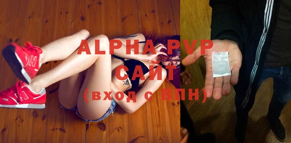 индика Саяногорск